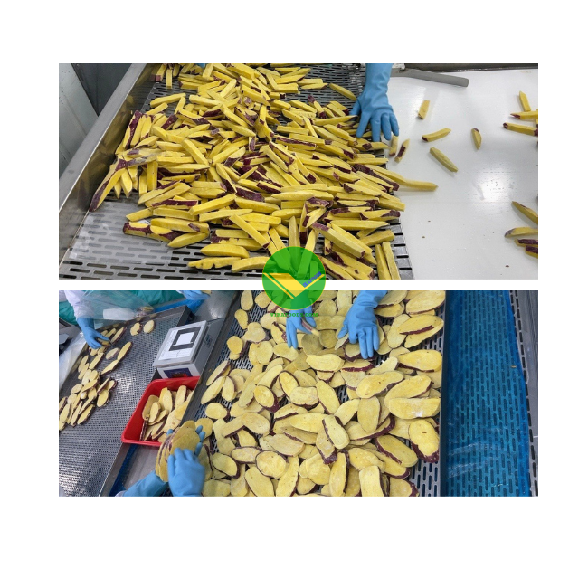 Reasonable prices and High quality with Frozen Sweet Potato Frozen Sweet Potato from Vietnam for importer