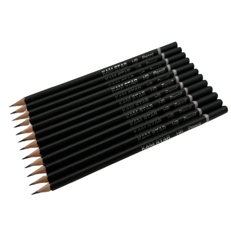 Most Popular Recyclable Comfortable Grip Resistant to Breakage round Wood-Cased Standard Pencils