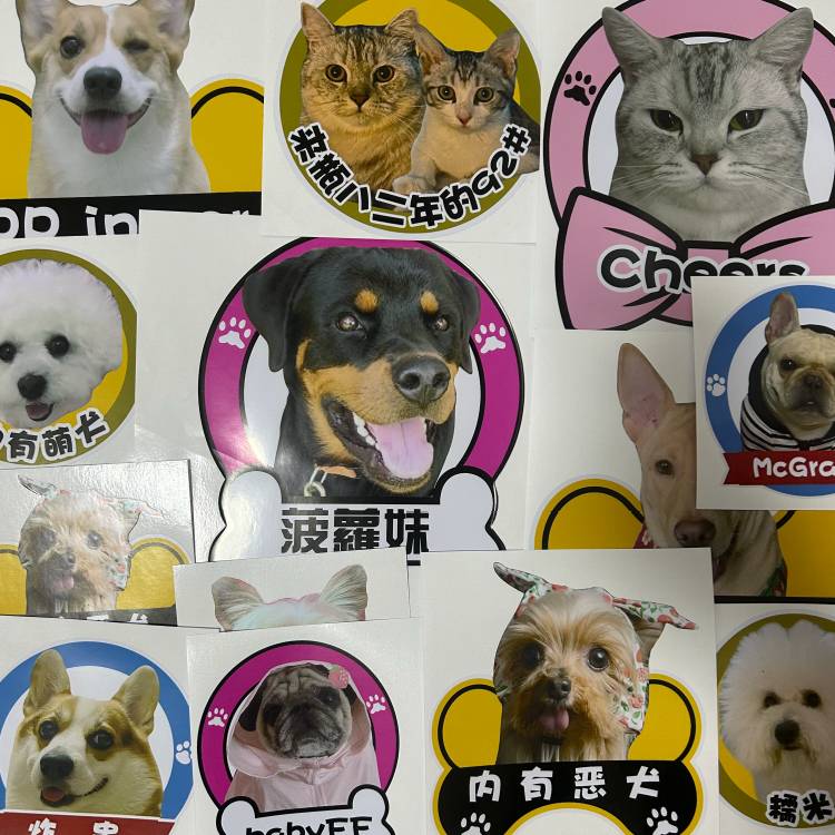 DIY dogs and cat personal customized love dogs in car stickers pet baby warning cartoon
