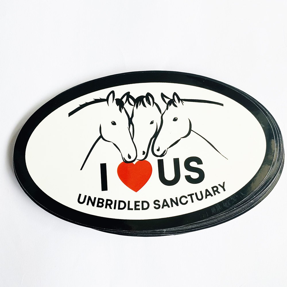 UV Protection Outdoor Durable Free Proofing Adhesive Label PVC Vinyl Sticker Printing Die Cut Logo Waterproof Custom Stickers