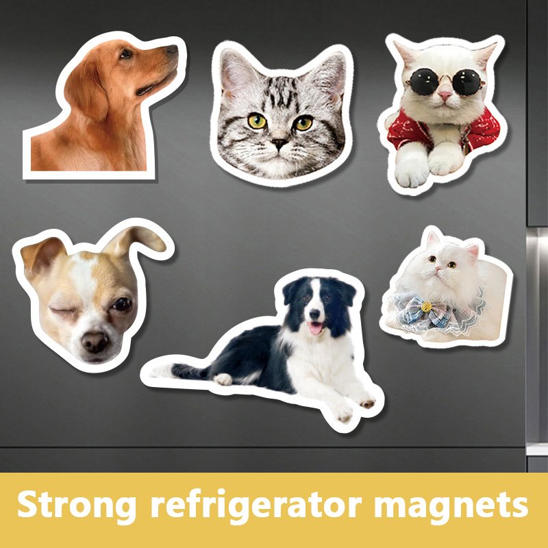 Wholesale Customized UV Print Cartoon cute pet soft magnetic acrylic refrigerator Sticker for refrigerator decoration