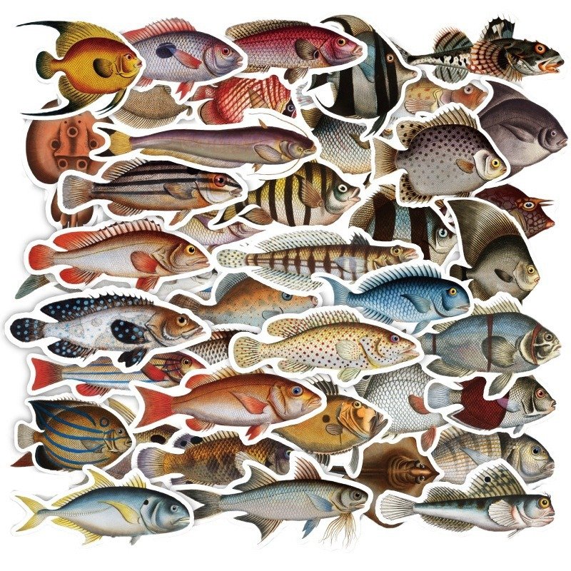 50 pcs / bag Cartoon Hiking outdoor fishing Stickers Decorations for kids Skateboard Vinyl Waterproof Manufacture Sticker