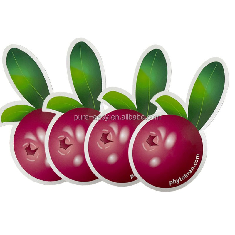 Custom Personalized Sticker and Label Cartoon Printing Stickers Label Sheet