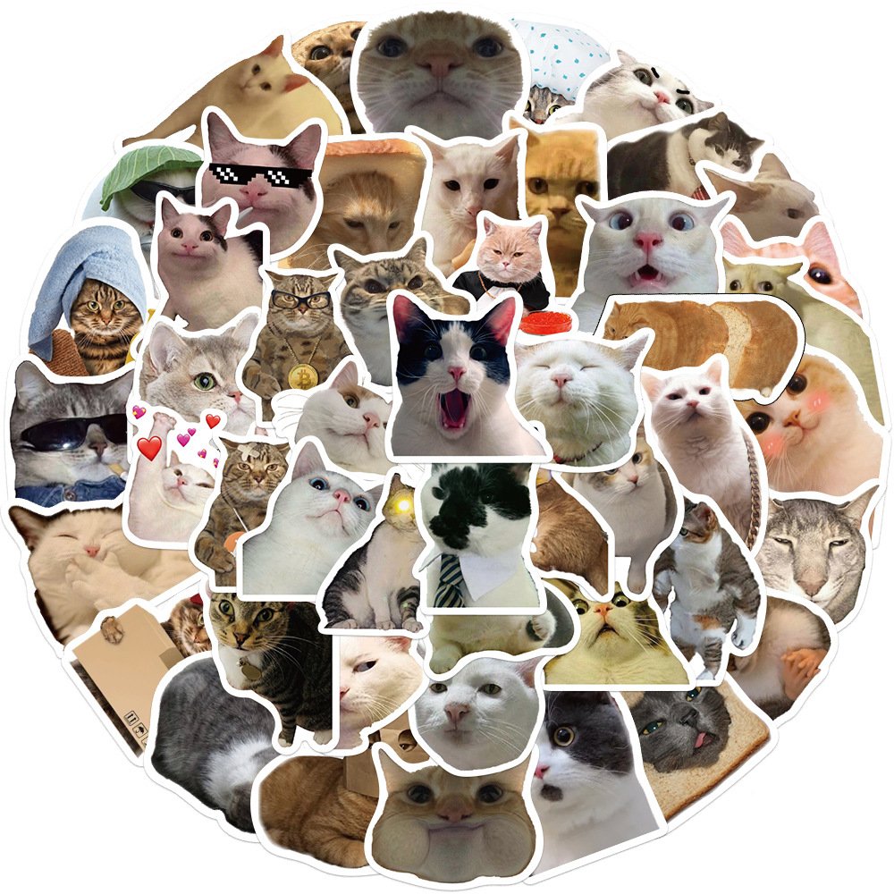 Manufacturer 50 PCS Cat Graffiti Stickers For Luggage Notebook Guitar Water Cup