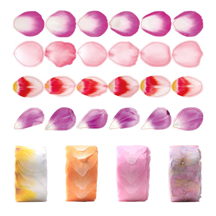 YALONG YLWG10125 Washi Tape Wholesale Set Petal Paper Removable High Quality Crafts Planners Scrapbook Wrapping Good Reputation