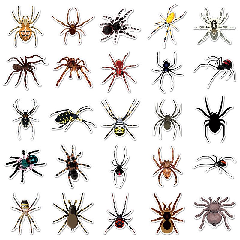 50pcs Arthropod Spider Cartoon Sticker Waterproof Decorative Laptop Luggage Sticker
