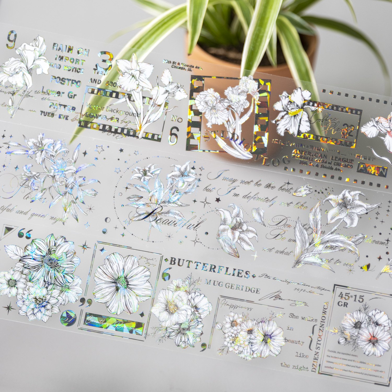 PET Tape Black Flowers Junk Journal Decoration Waterproof Transparent Tape for DIY Kraft Scrapbook Book Mr. Paper 1 Pcs / Set