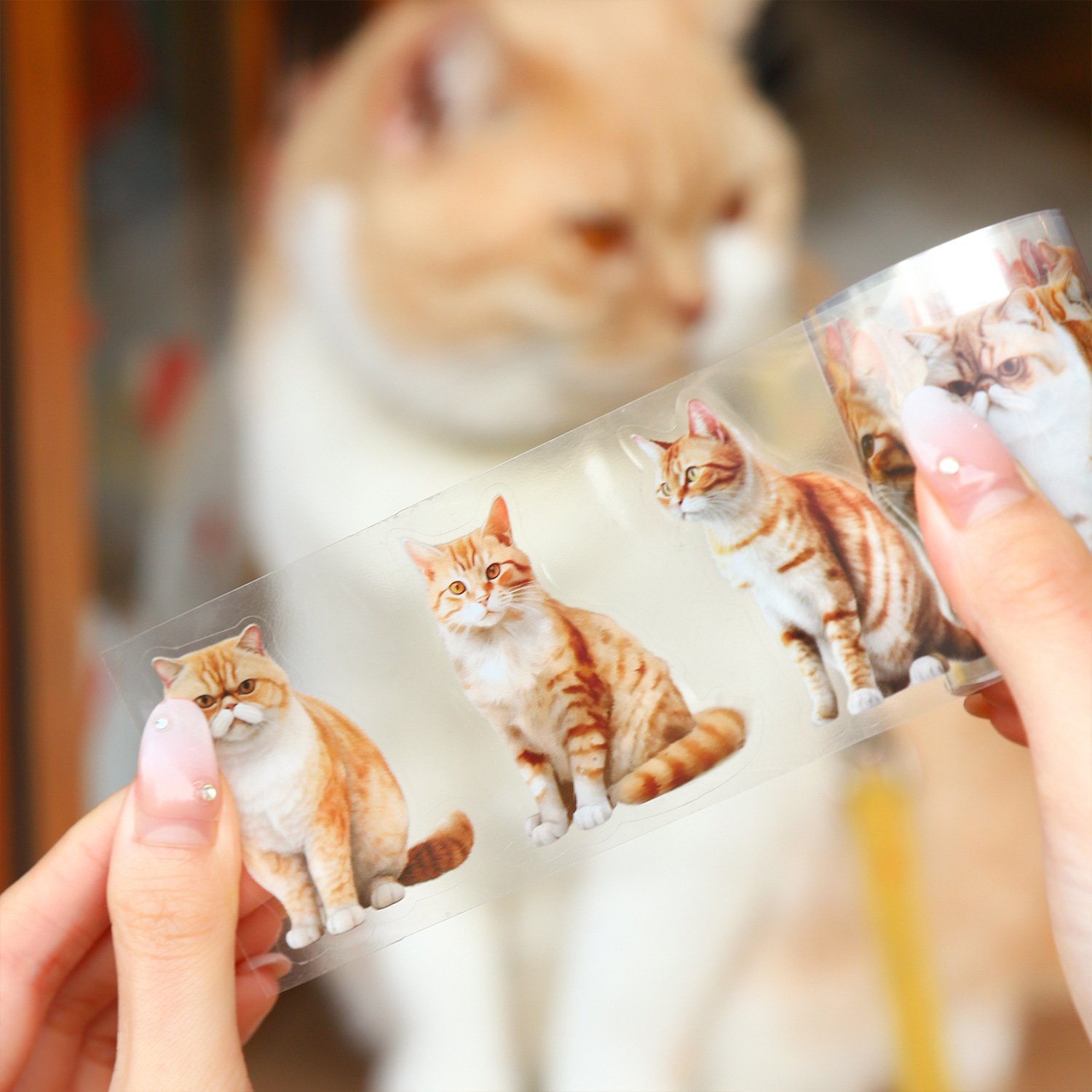 2M/Roll PET Tape Cat Business Series Cat Theme Handbook Material Loop Stickers
