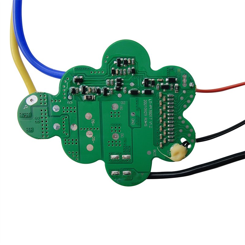 Dorado EEL 10S 13S 15A BMS Separate Port 36V 48V PCM BMS for REENTION IE-MINI IE-PRO ID-MINI ID-PRO eBike Lithium Battery Case