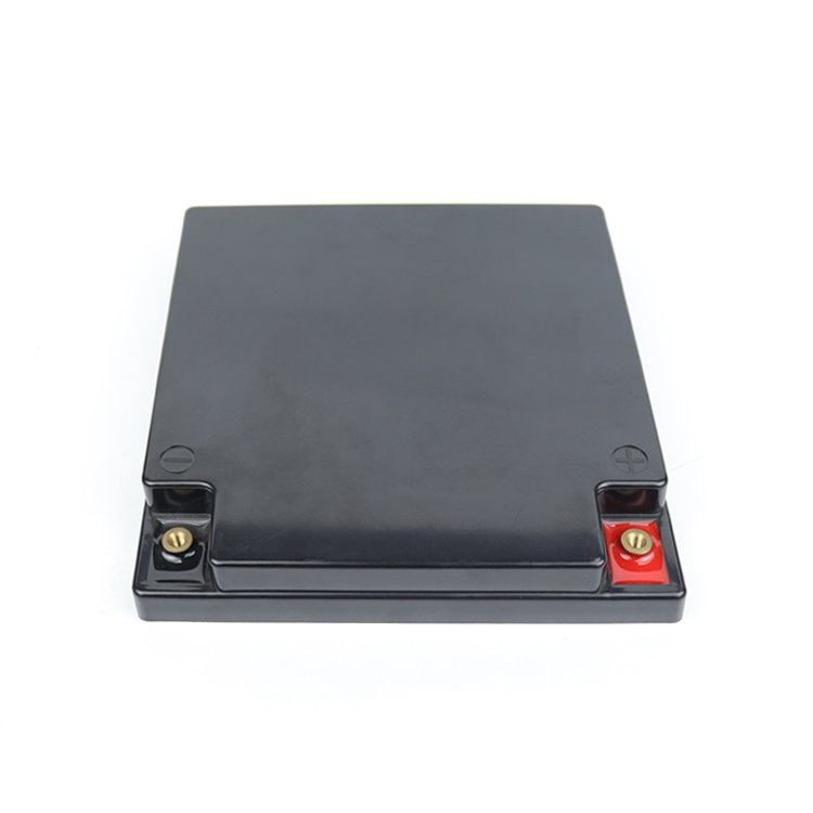 CTD Customized 12V 24V 36V 48V ABS diy empty Camping Plastic battery store box 100Ah 200ah 280Ah Lithium Battery Case