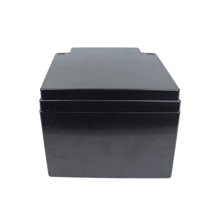CTD Customized 12V 24V 36V 48V ABS diy empty Camping Plastic battery store box 100Ah 200ah 280Ah Lithium Battery Case