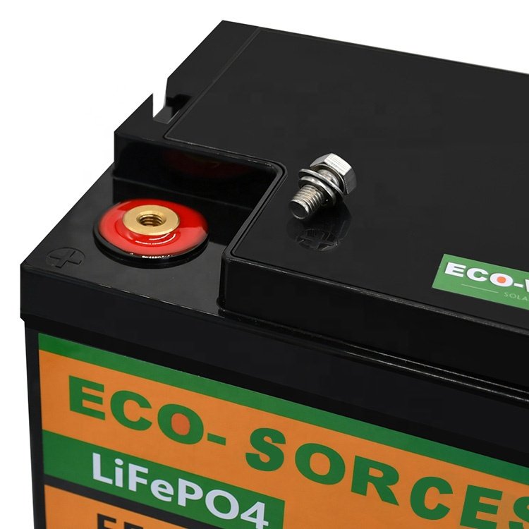 Eco-worthy High Quality Deep Cycle 12V 100AH Energy Storage Battery RV Yacht Boat Solar Battery Lifepo4 Lithium Battery