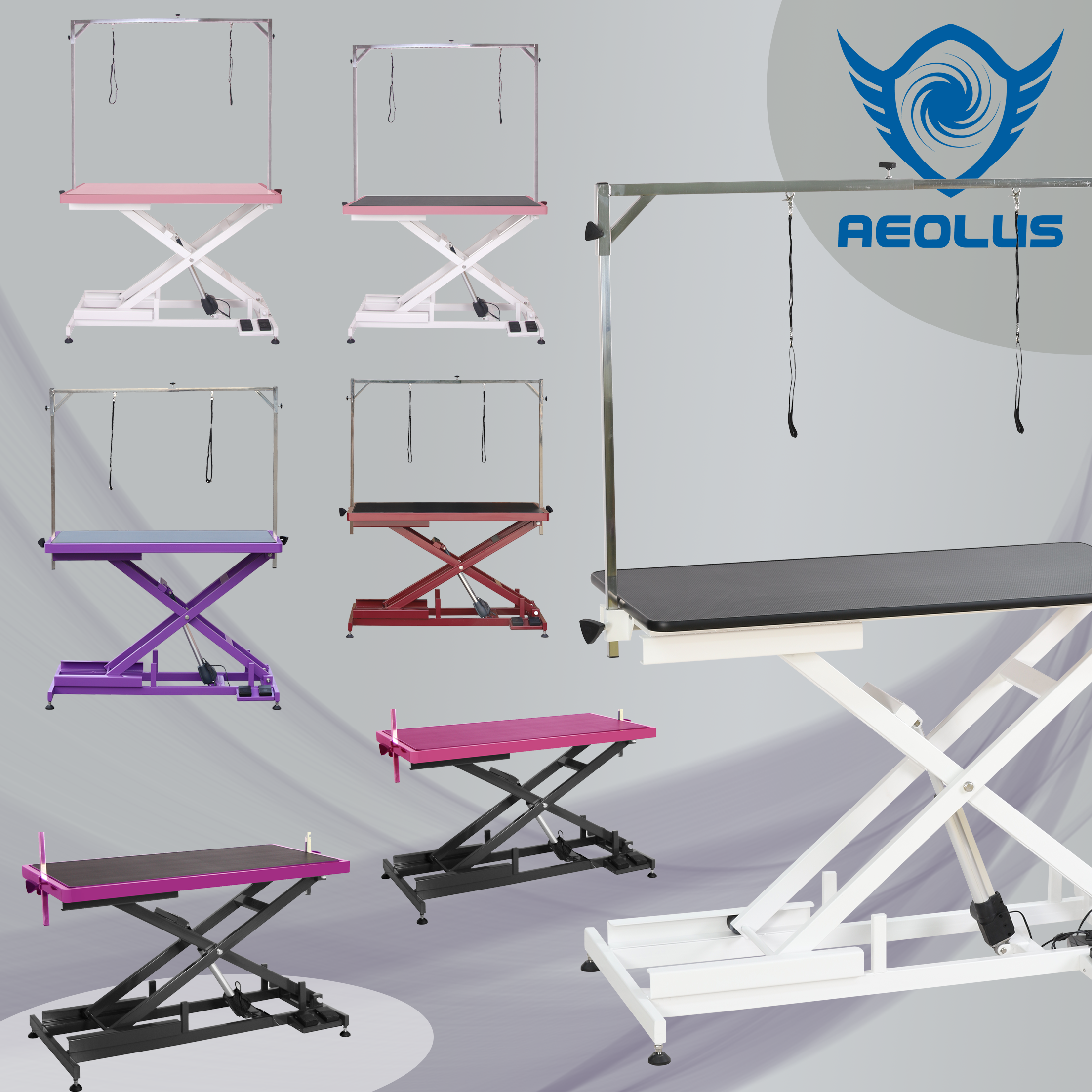 Aeolus Electric Pet Grooming Table economic Grooming Double Arm foot control Height Adjustable pet shop Dog Table
