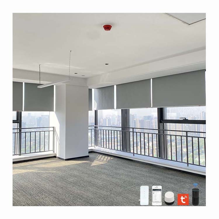 Customized dual sheer motorized automatic electric remote control roller shades blinds windows roller blinds