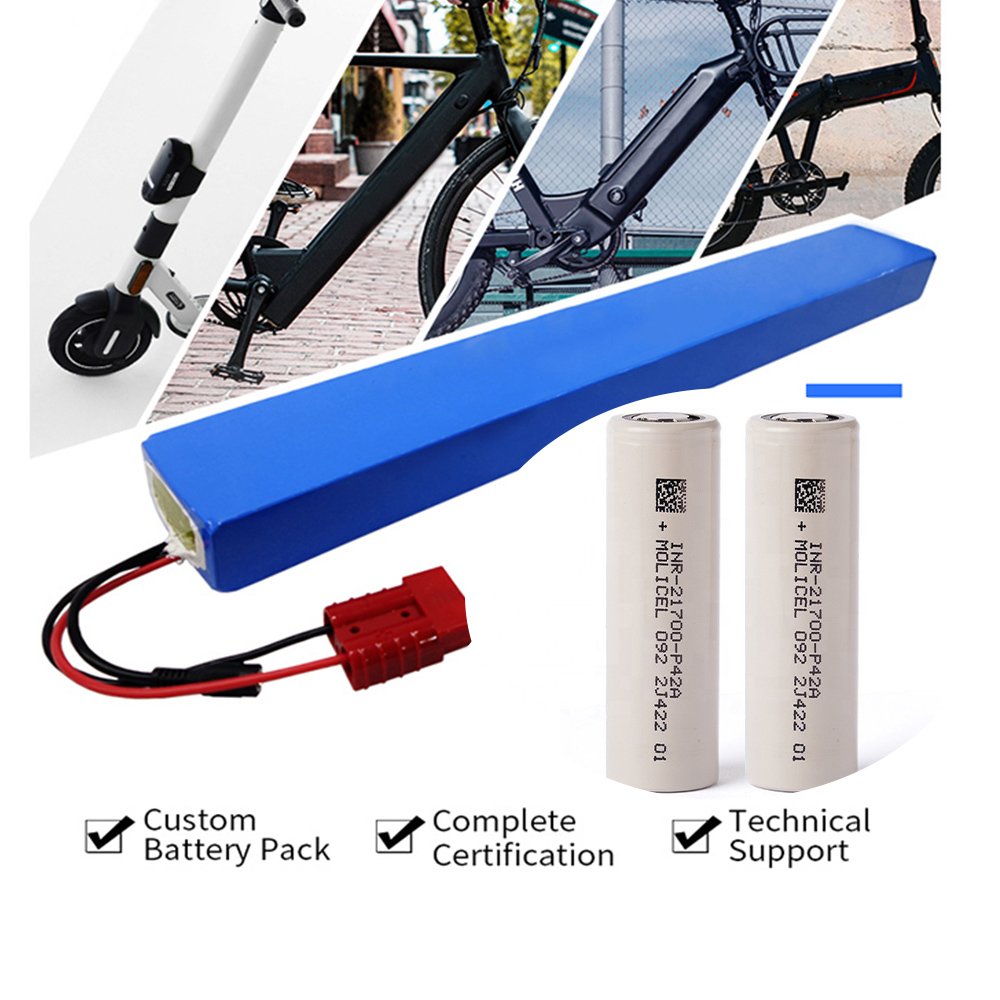 Oem lithium battery pack 10ah 20ah 25ah 30ah 40ah 48v lithium ion battery pack for electric bike scooter