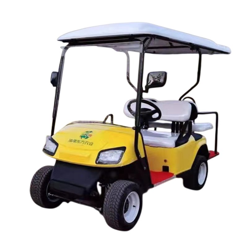 Car Golf Cart for Sale Brand New4 Wheel Electric Club CE Mini Car for Lowest Price Golf Cart Accessory Mesh Bag 3 - 4 Equipped