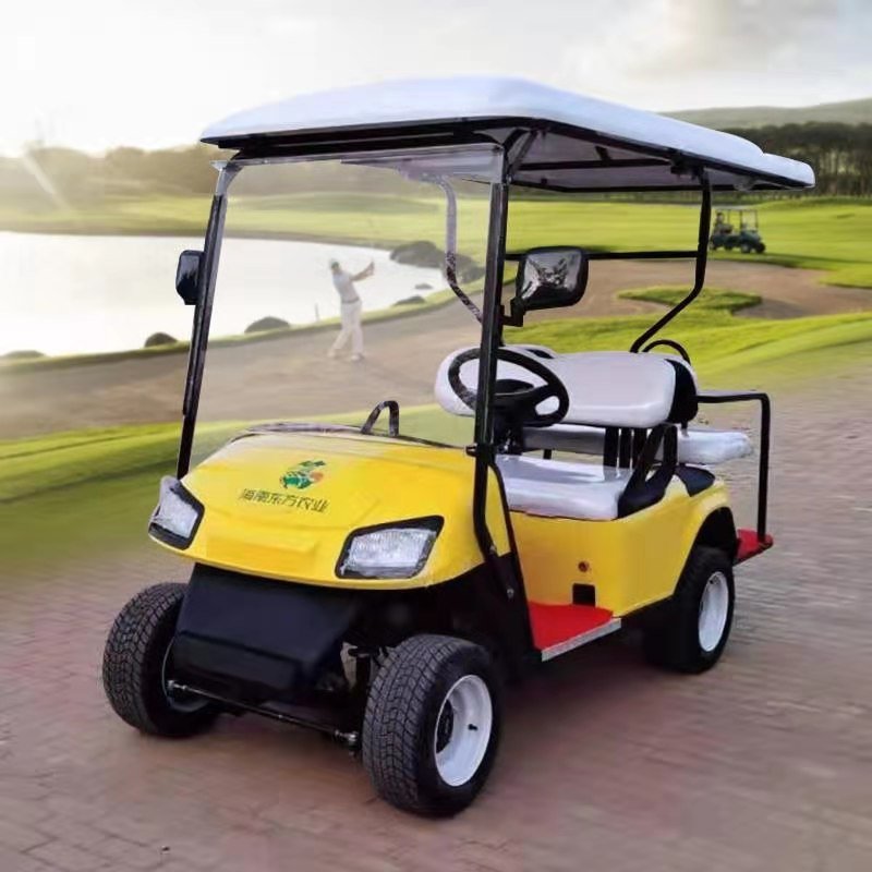 Car Golf Cart for Sale Brand New4 Wheel Electric Club CE Mini Car for Lowest Price Golf Cart Accessory Mesh Bag 3 - 4 Equipped