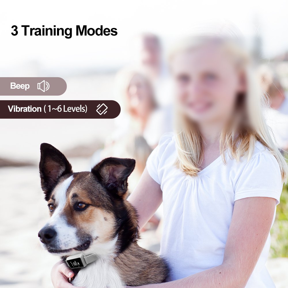 Control Products Anti Bark Bite Chew Pet Accessories Automatic Anti Barking Device Deterrents Anti Bark Collar