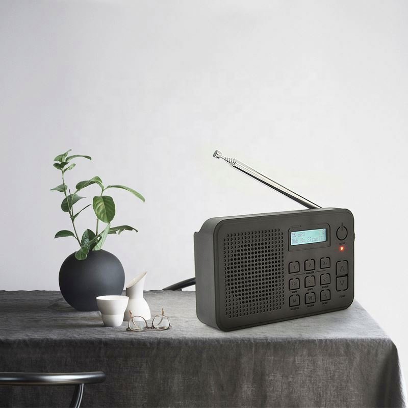 Factory price 2024 European New Cross-Border Hot Selling Portable Household Dab Digital Radio Wholesale