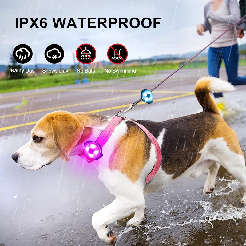 BSCI Factory Audit New Design Dog Accessories Battery Replaceable Mini Pet Light Round Luminous LED Outdoor Dog Safety Pendant