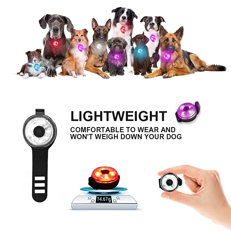 BSCI Factory Audit New Design Dog Accessories Battery Replaceable Mini Pet Light Round Luminous LED Outdoor Dog Safety Pendant