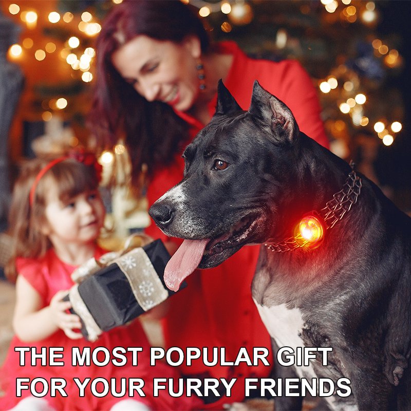 BSCI Factory Audit New Design Dog Accessories Battery Replaceable Mini Pet Light Round Luminous LED Outdoor Dog Safety Pendant