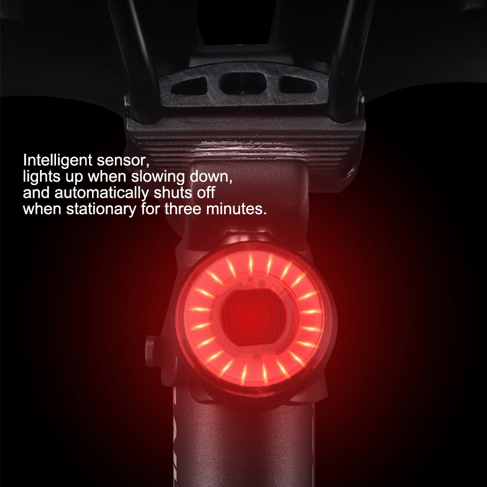 SeeMoreSmart Brake Sensing Rechargeable Bicycle Rear Lights Back Light Taillight Bike Tail Light
