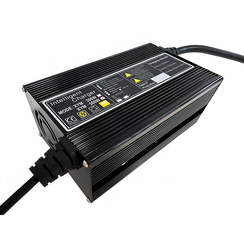 12V 24V 36V 48V lifePo4 battery charger 59.4V lithium battery charger 6A 10A 15A 20A scooter charger