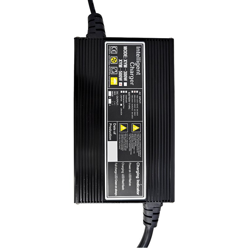12V 24V 36V 48V lifePo4 battery charger 59.4V lithium battery charger 6A 10A 15A 20A scooter charger