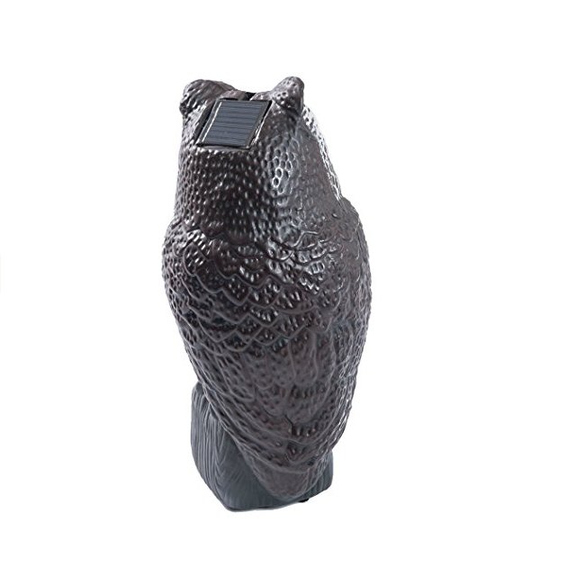 Ningbo eco-friendly plastic motion sensor bird dog cat bird scare