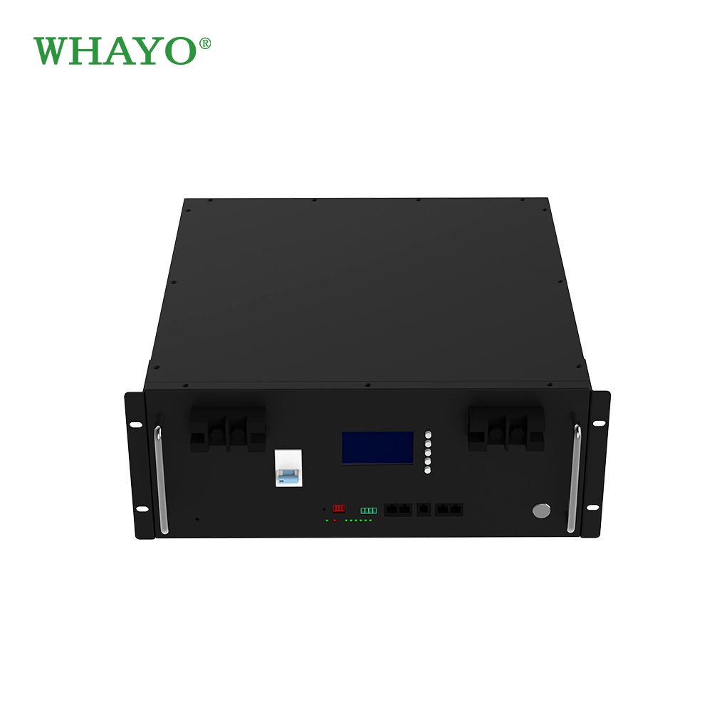 Whayo Customized Rack-mounted Lithium Battery Pack 100Ah 200Ah 24V 48V 51.2v Lifepo4 Battery With BMS Battery System EU Stock