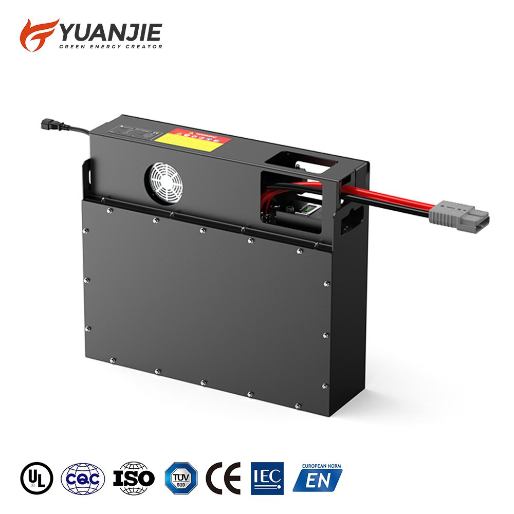 Forklift Truck Lithium ion battery pack system 24V/25.6V20~300Ah LiFePO4 with BMS and fast charge for traction electric power