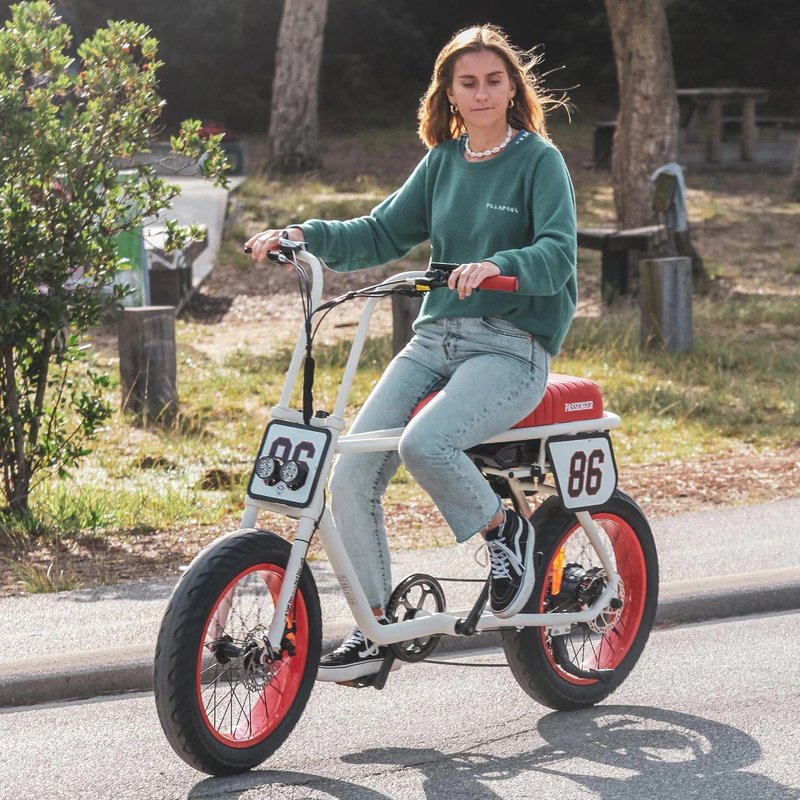 Factory direct supply passenger electric bicycle motorized e-bike with hidden Lithium battery 48V 500W electric bikes