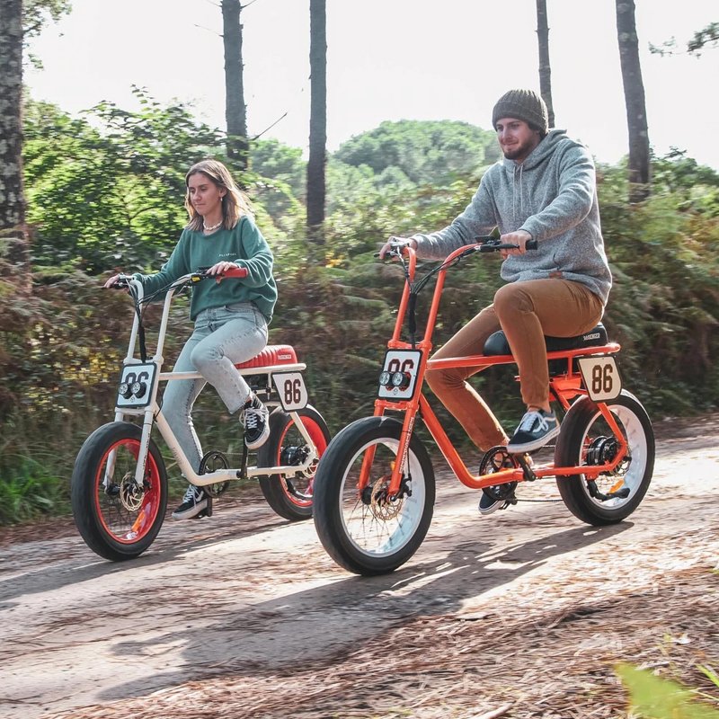 Factory direct supply passenger electric bicycle motorized e-bike with hidden Lithium battery 48V 500W electric bikes