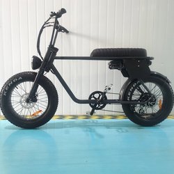 36v250w;48v500w