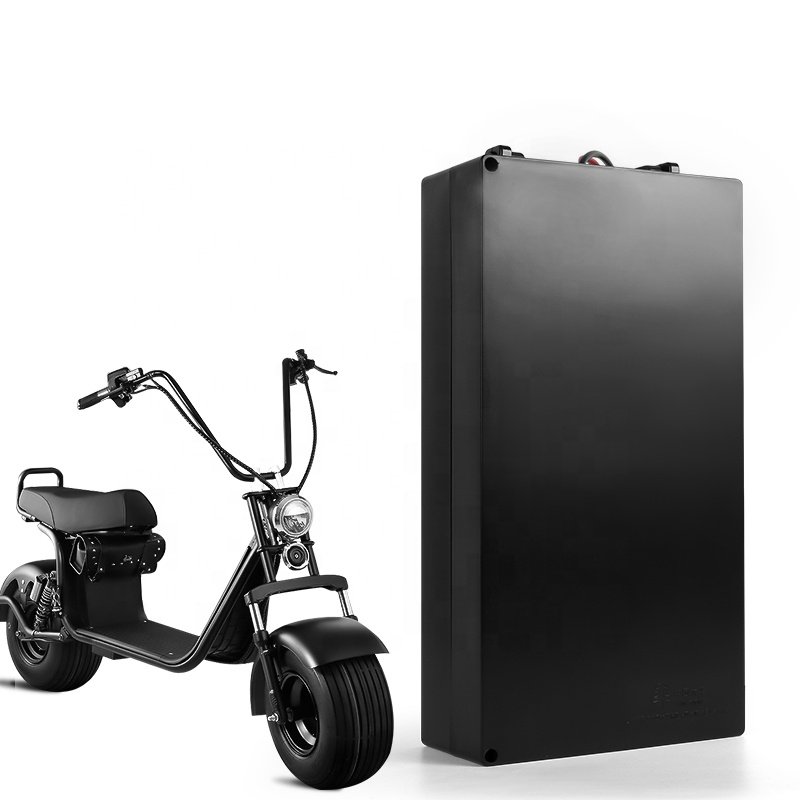 Citycoco replacement 60V 20Ah Electric Scooter Battery, Removable Lithium Ion Motorcycle Battery