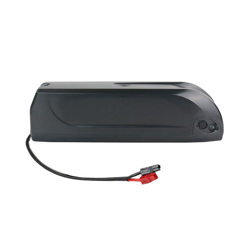 Electric Bike 18650 Lithium Ion Battery Pack with 30A BMS Rechargeable 36V 48V 10Ah 20Ah 30Ah 1500W for Motorcycle Ebike