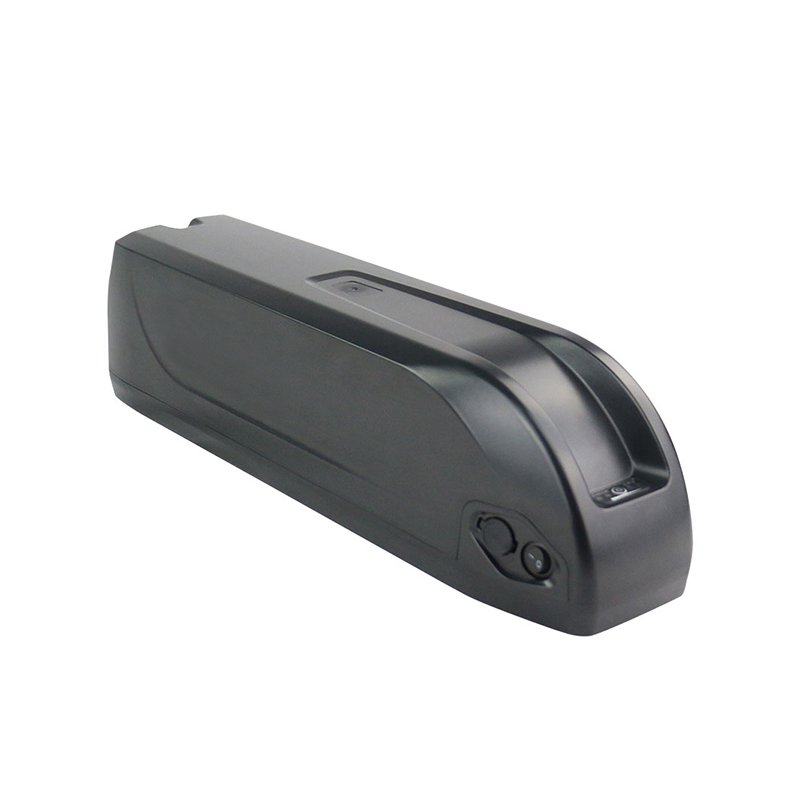 Electric Bike 18650 Lithium Ion Battery Pack with 30A BMS Rechargeable 36V 48V 10Ah 20Ah 30Ah 1500W for Motorcycle Ebike
