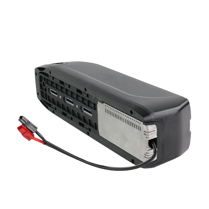 Electric Bike 18650 Lithium Ion Battery Pack with 30A BMS Rechargeable 36V 48V 10Ah 20Ah 30Ah 1500W for Motorcycle Ebike