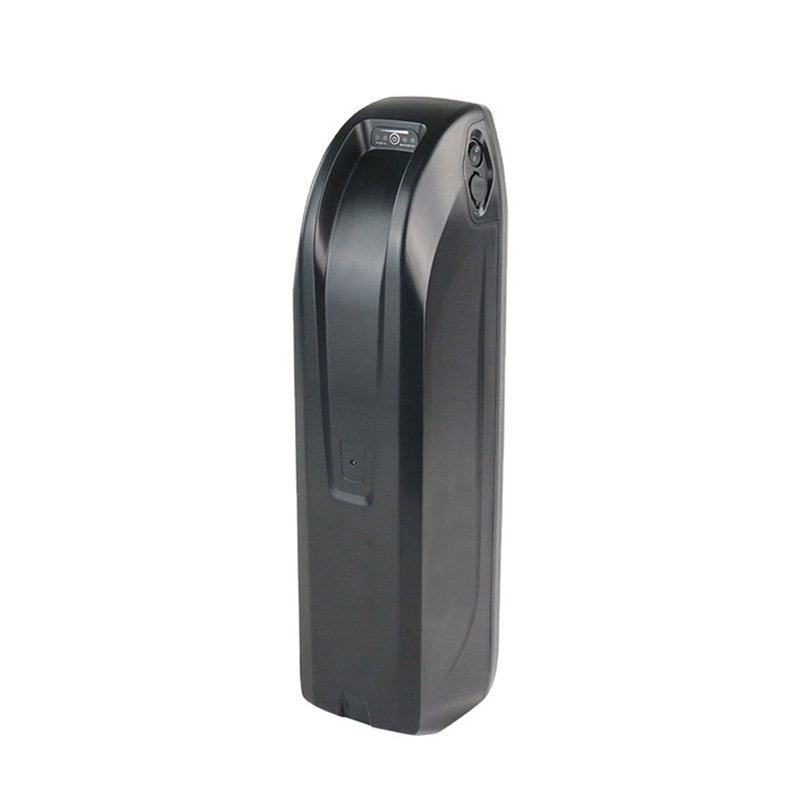 Electric Bike 18650 Lithium Ion Battery Pack with 30A BMS Rechargeable 36V 48V 10Ah 20Ah 30Ah 1500W for Motorcycle Ebike