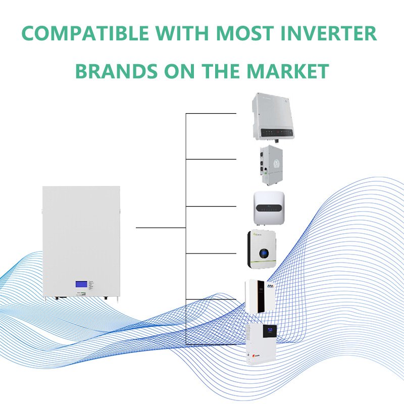 Rackmounted Wall Mounted Lifepo4 Battery 10 KWh Power Wall Lithium Battery 200 Ah Wall Mounted Lithium Battery