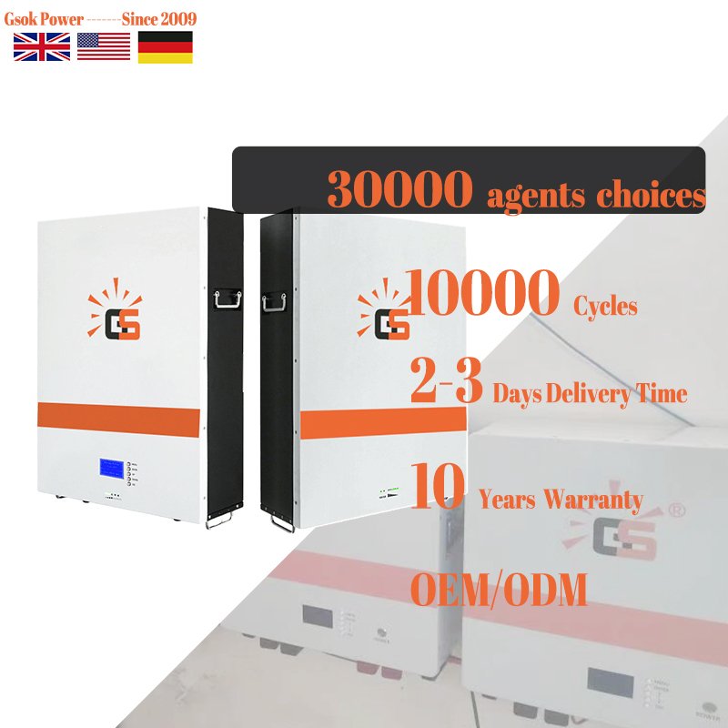 power wall 10kwh 15kwh 20kwh 48v 50ah 100ah 200ah 300ah lifepo4 battery bms inside