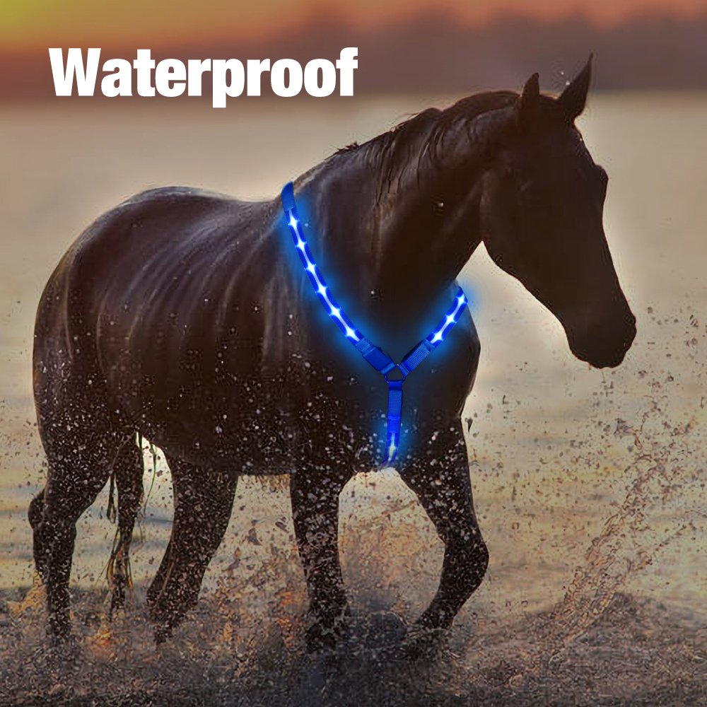 Tize Best Seller Horse Riding Equipement Tight Led Light Up Horse Harness