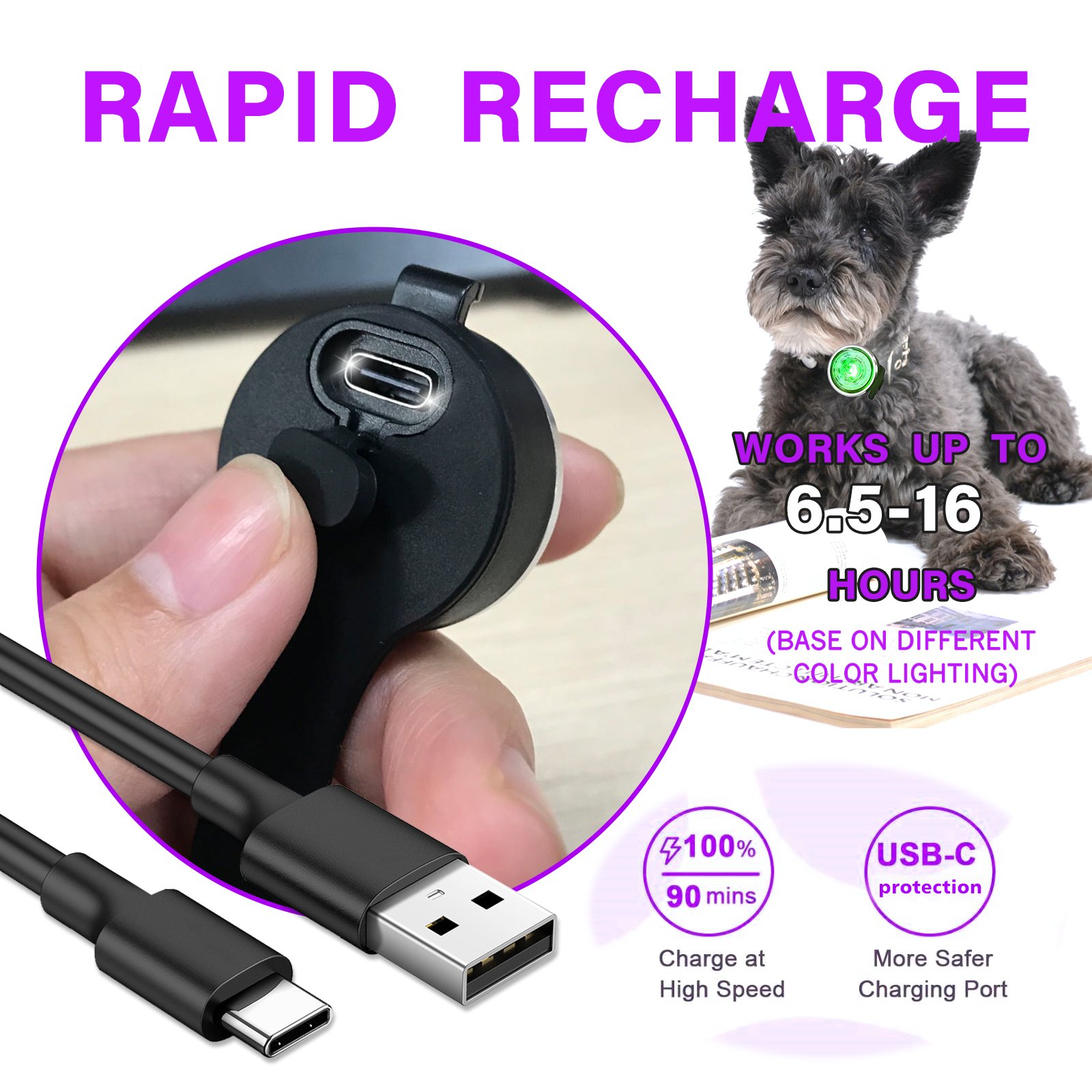 2025 New Rechargeable Waterproof Pet Accessories Pendant Light Night Walking Running Safety Warning LED Dog Collar Light