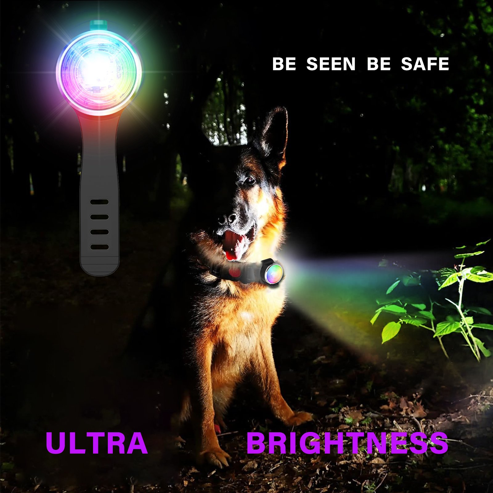 2025 New Rechargeable Waterproof Pet Accessories Pendant Light Night Walking Running Safety Warning LED Dog Collar Light