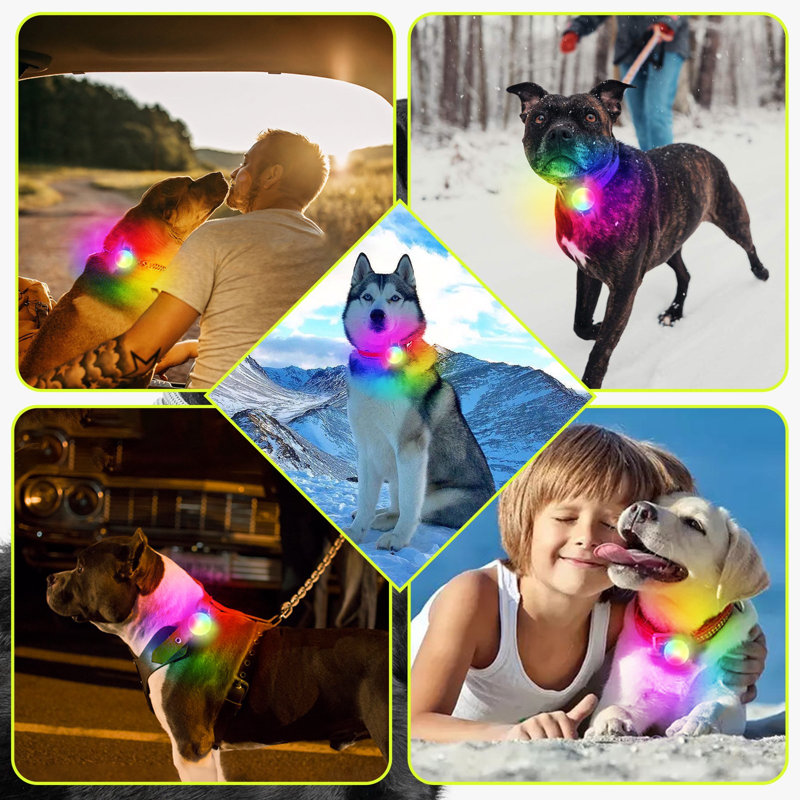 2025 New Rechargeable Waterproof Pet Accessories Pendant Light Night Walking Running Safety Warning LED Dog Collar Light