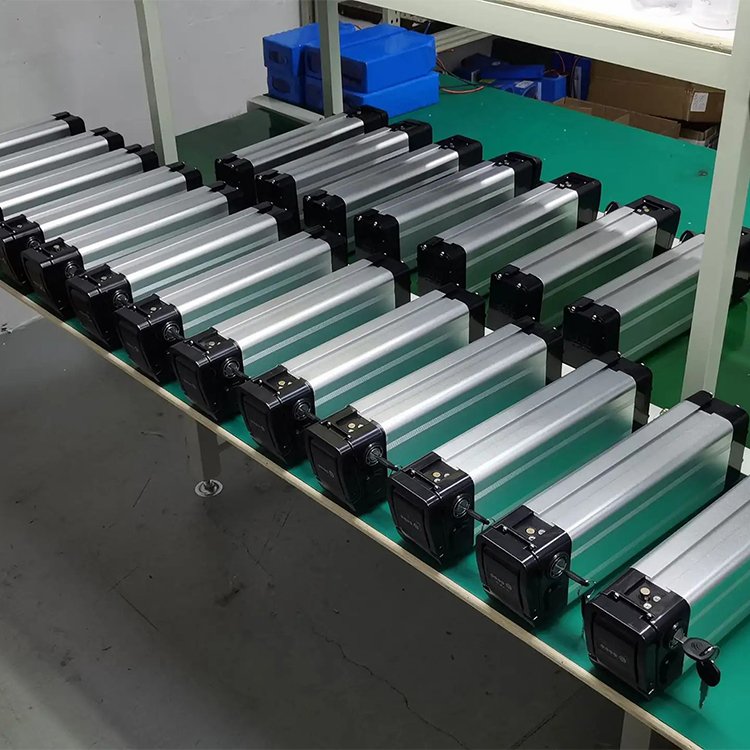 Hot Selling Silver Fish E-Type Electric Bicycle Battery 1000W 36V 48V 8Ah 10Ah 12.8Ah for Golf Carts Ebike Battery