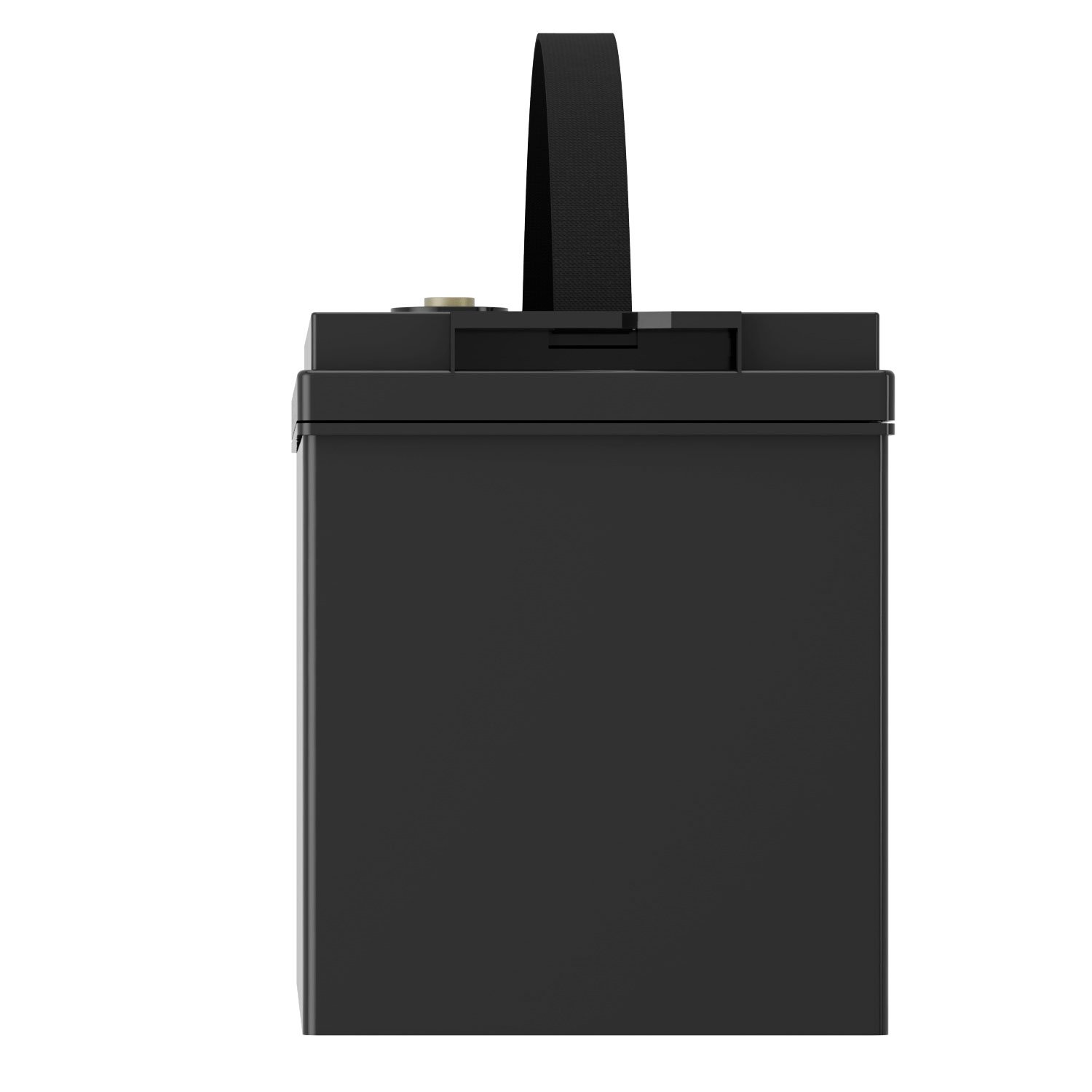 Lithium-ion Phosphate 12v Lithium Battery 12v 50ah 100ah 200ah Lifepo4 Battery With Reach Rohs Iec Certificate
