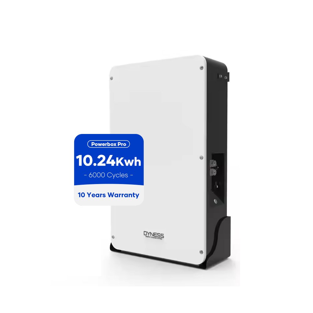 High Quality 10.24 kWh Lithium Battery Dyness 51.2V 200Ah Energy Storage Battery For Home