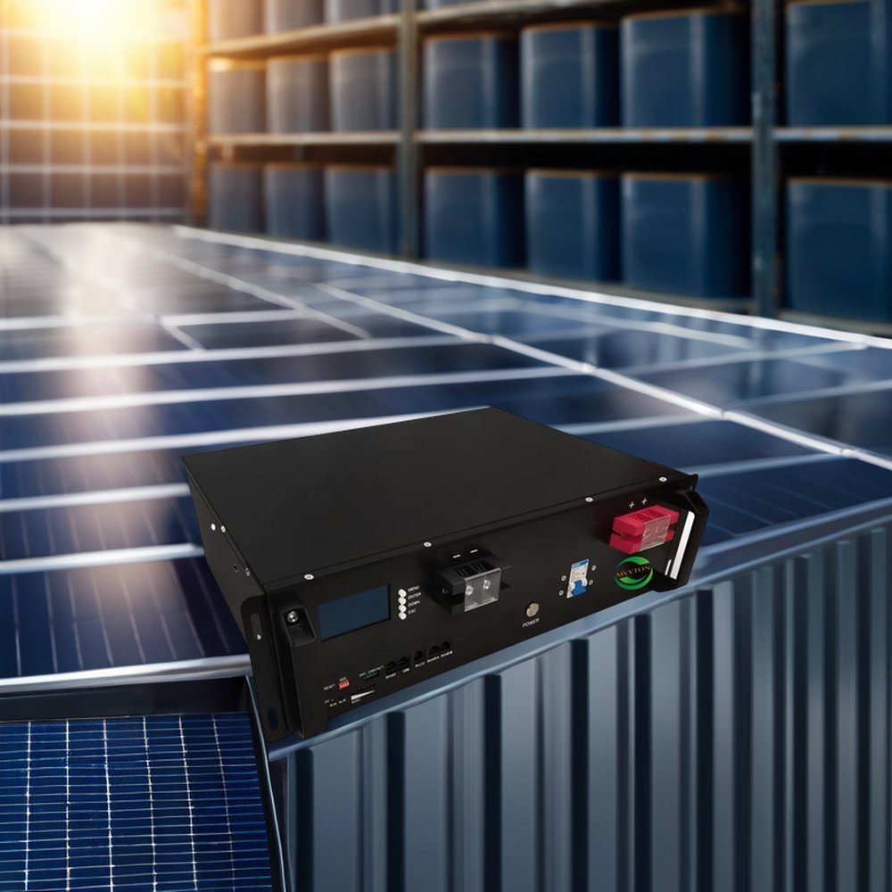 10-Year Warranty 25.6V 48V 51.2V 100Ah Parallel Power Container Rack LiFePO4 Energy Storage Battery LFP